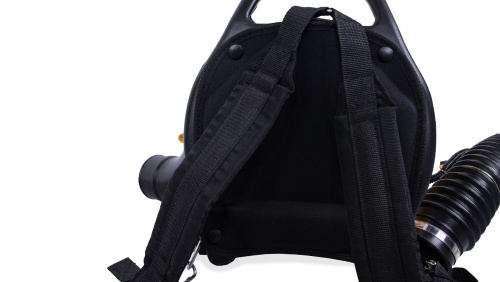 Бензиновая воздуходувка CHAMPION GBR333 фото 2